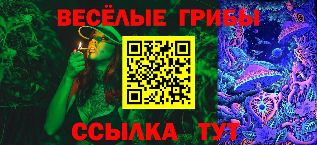 Галлюциногенные грибы Magic Shrooms  даркнет сайт  Электросталь  Вход с VPN 