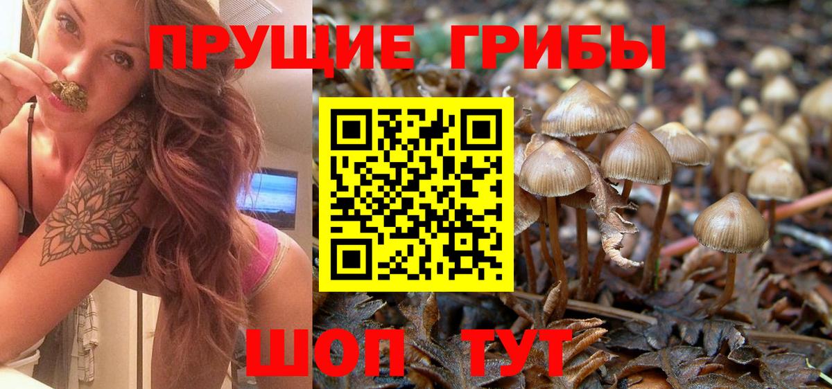 Псилоцибиновые грибы GOLDEN TEACHER Электросталь